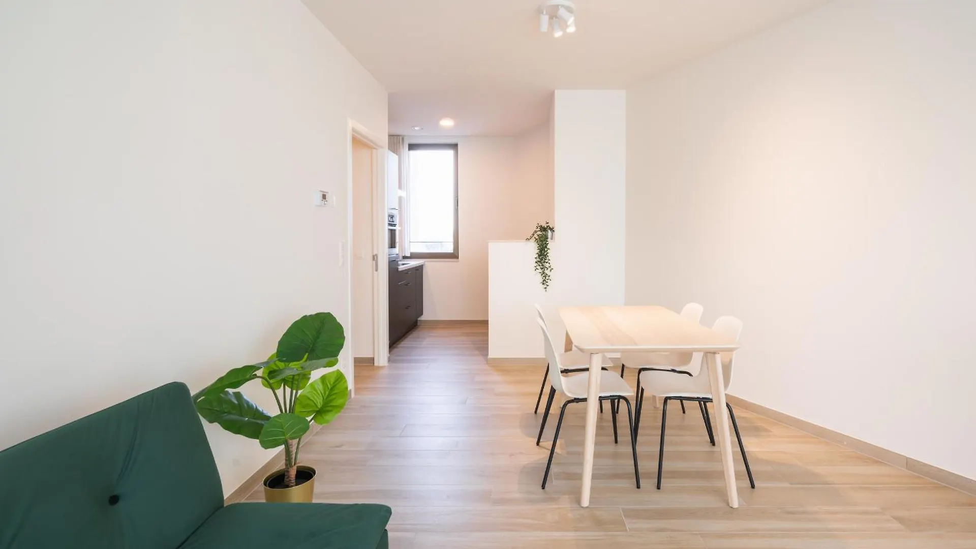 Opera Square Apartments In Antwerp Centre